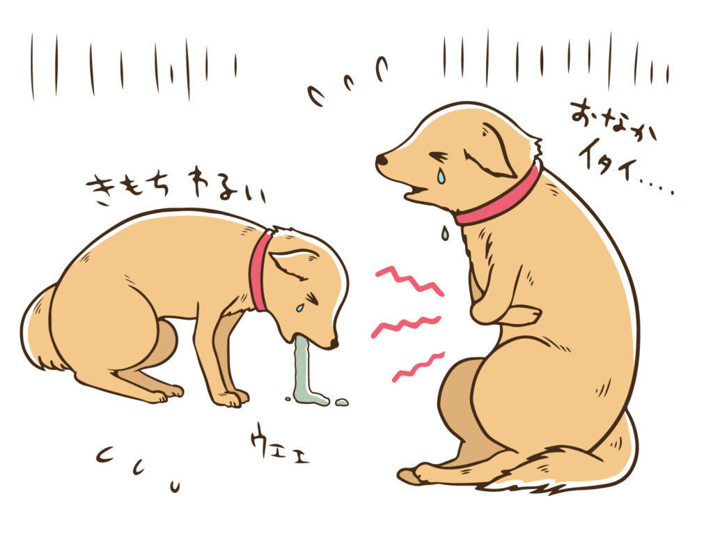 病気の犬