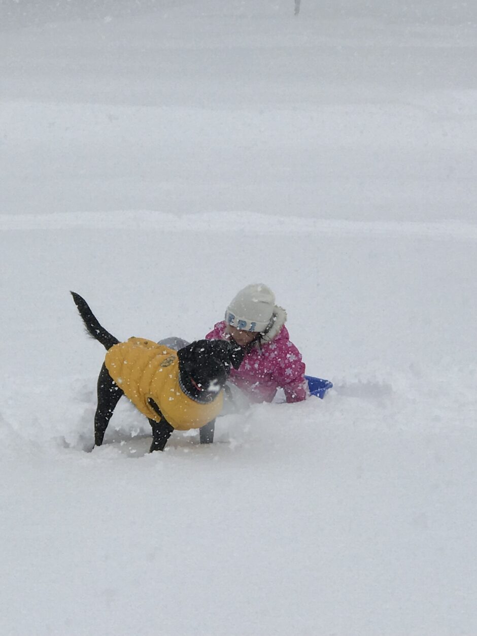 犬と子供と冬の遊びかた ここでよかった